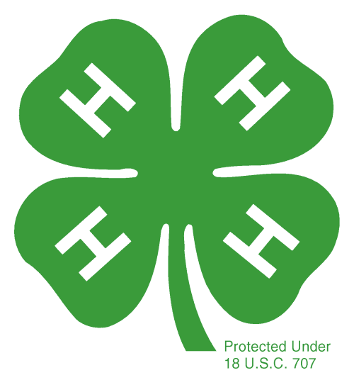  4H Clover