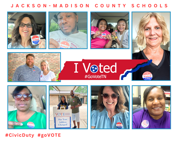 Vote 8